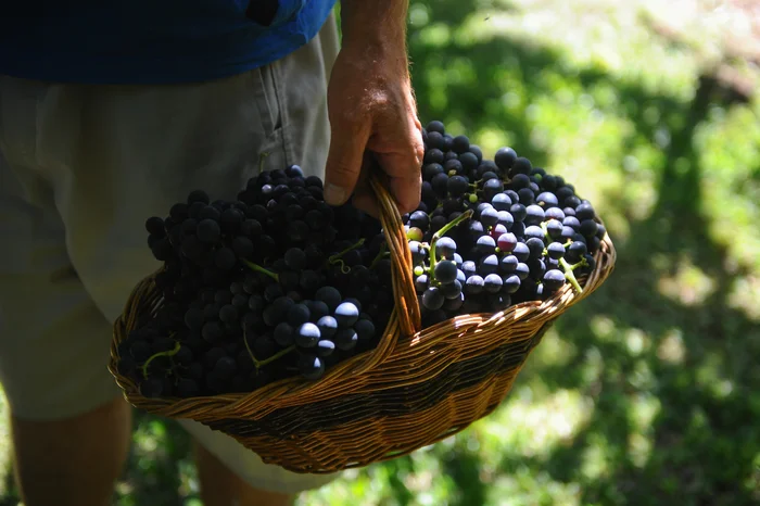 Bruno Todeschini / Agencia RBS