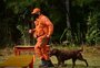 Cresce média de resgates feitos pelo Corpo de Bombeiros por pessoas perdidas em trilhas 