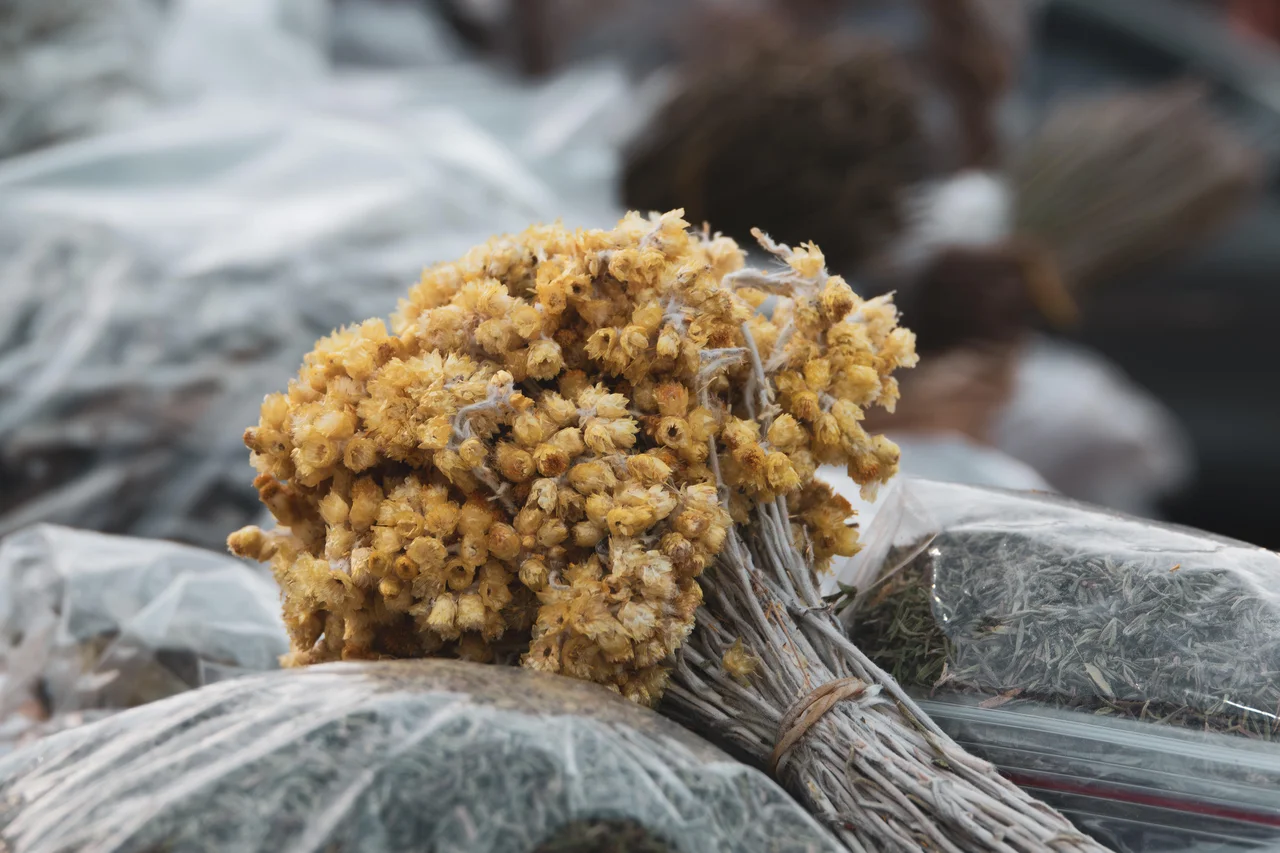 Arda ALTAY/stock.adobe.com