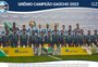 O pôster do Grêmio hexacampeão do Gauchão
