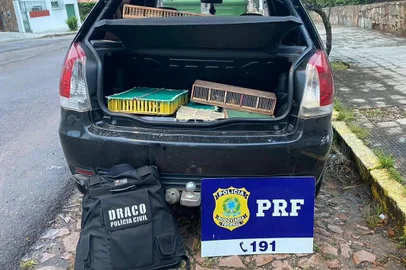 Três pessoas são presas transportando ilegalmente 150 pássaros silvestres em Bagé <!-- NICAID(15587569) -->