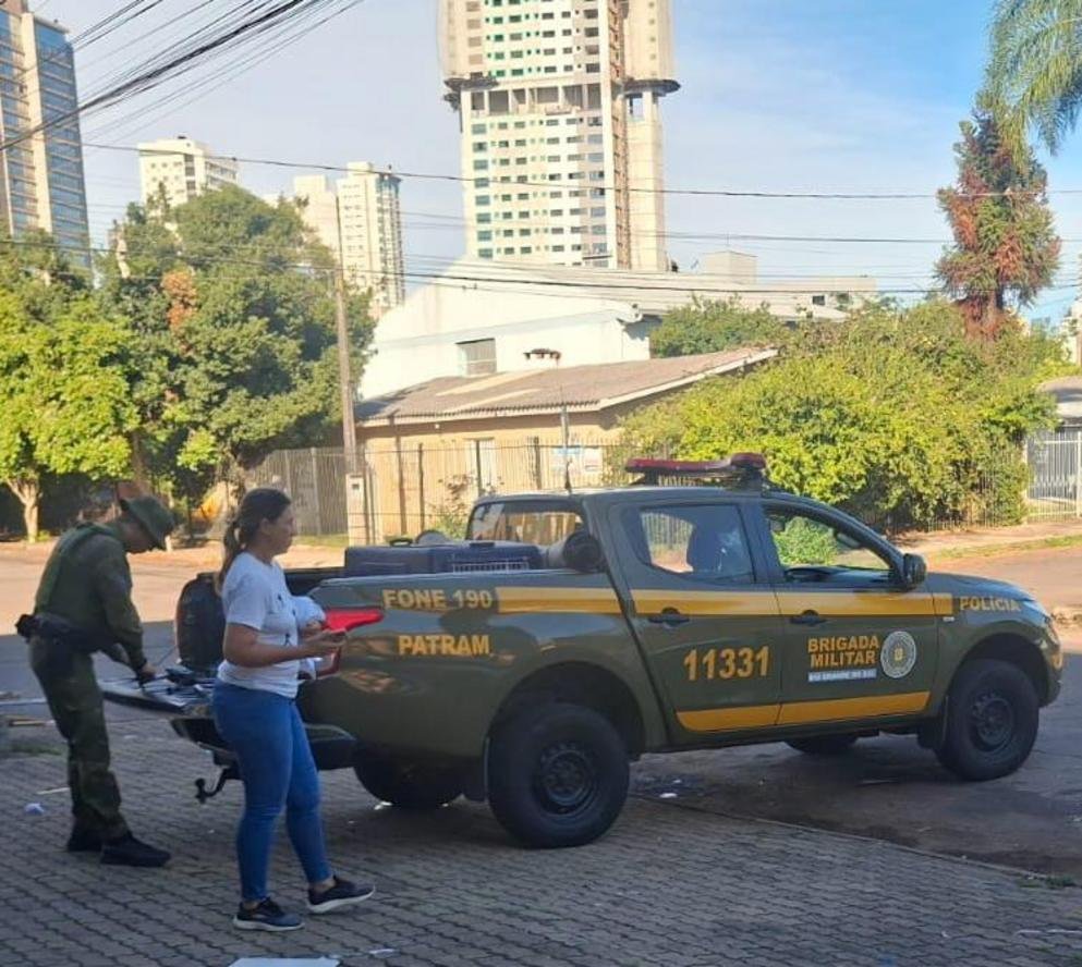 Cachorro &eacute; agredido e morto no bairro Popular, em Passo Fundo