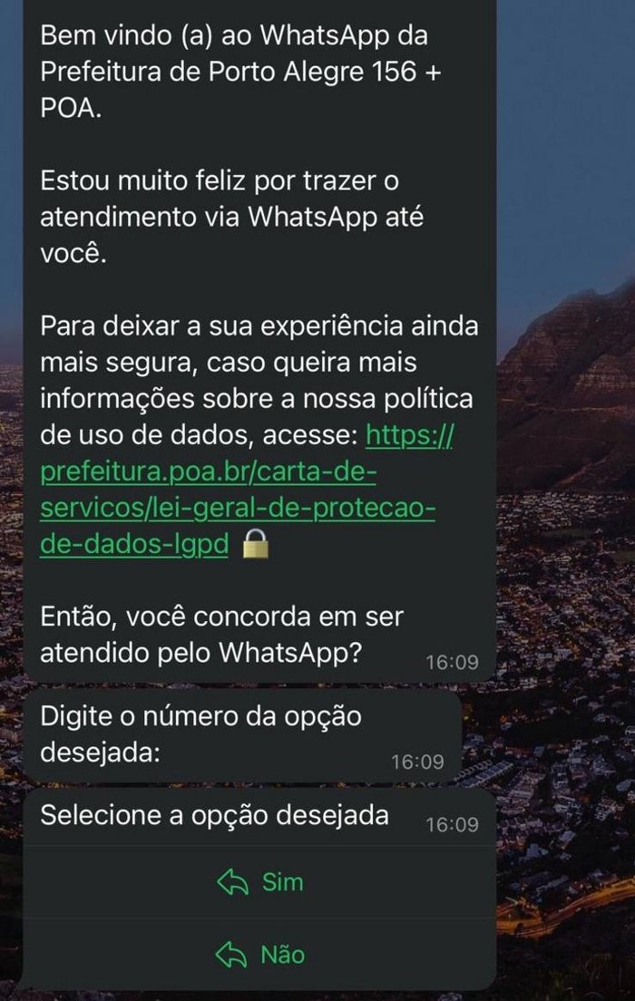 WhatsApp / +156 / Reprodução WhatsApp / +156 / Reprodução
