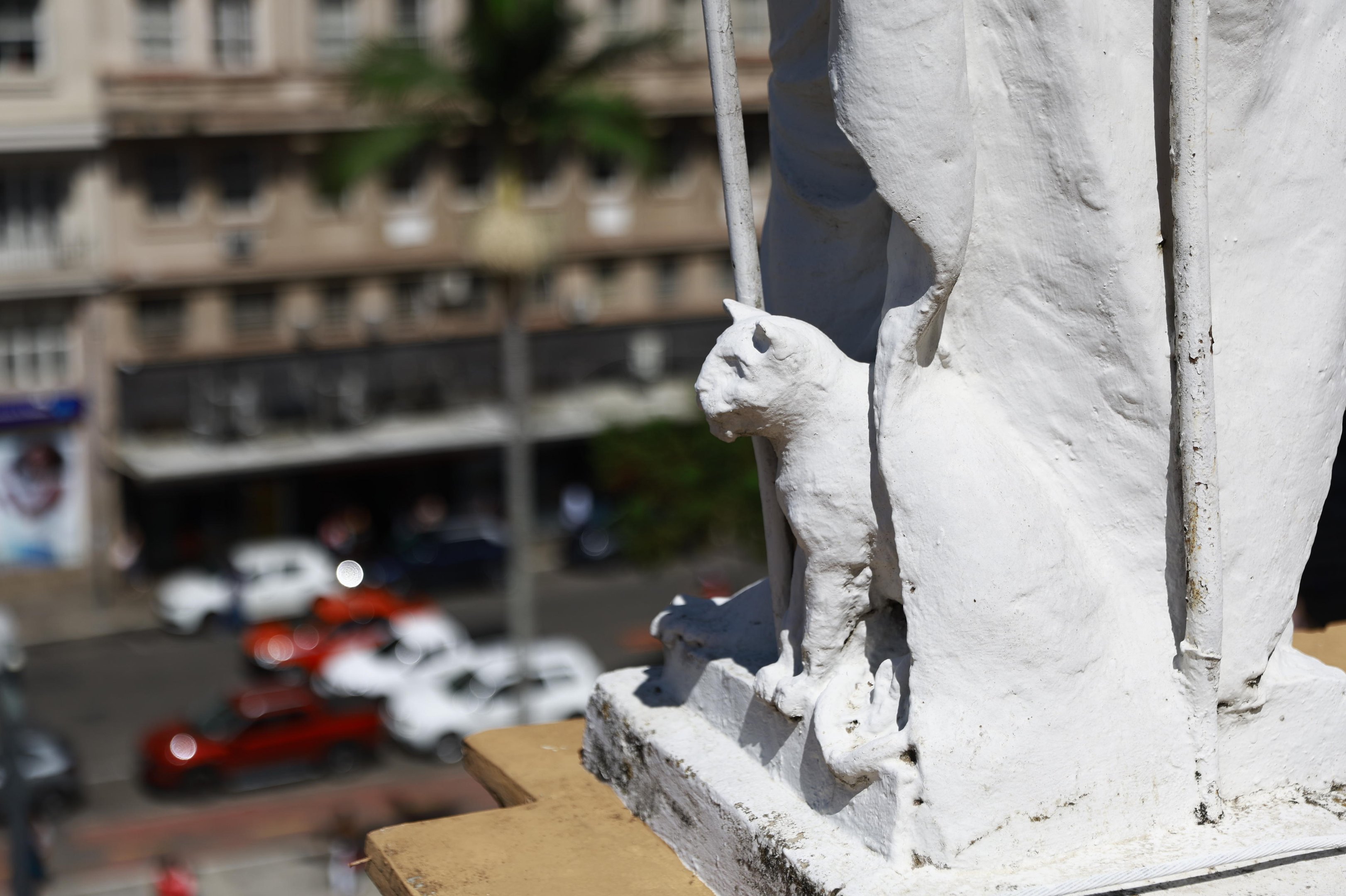 Cela escondida e gato no topo: conhe&ccedil;a os segredos do Pa&ccedil;o Municipal de Porto Alegre