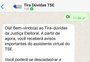 Fato ou boato? Conheça o assistente virtual do TSE que ajuda a combater fake news pelo WhatsApp