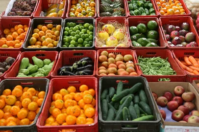 produtores de olerícolas estão entre os beneficiados com a disponibilização do sistema eletrônico para a emissão de PTV - hortifruti - horticultura - fruticultura - pepino - maçã - laranja - citrus - hortaliças