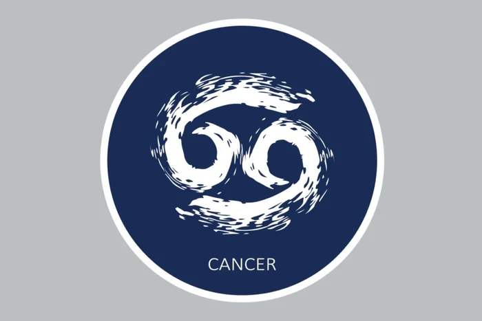 Tatyana Okhitina / Shutterstock | Portal EdiCase Tatyana Okhitina / Shutterstock | Portal EdiCase