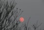 Sol vermelho chama atenção em Porto Alegre; veja fotos desta terça