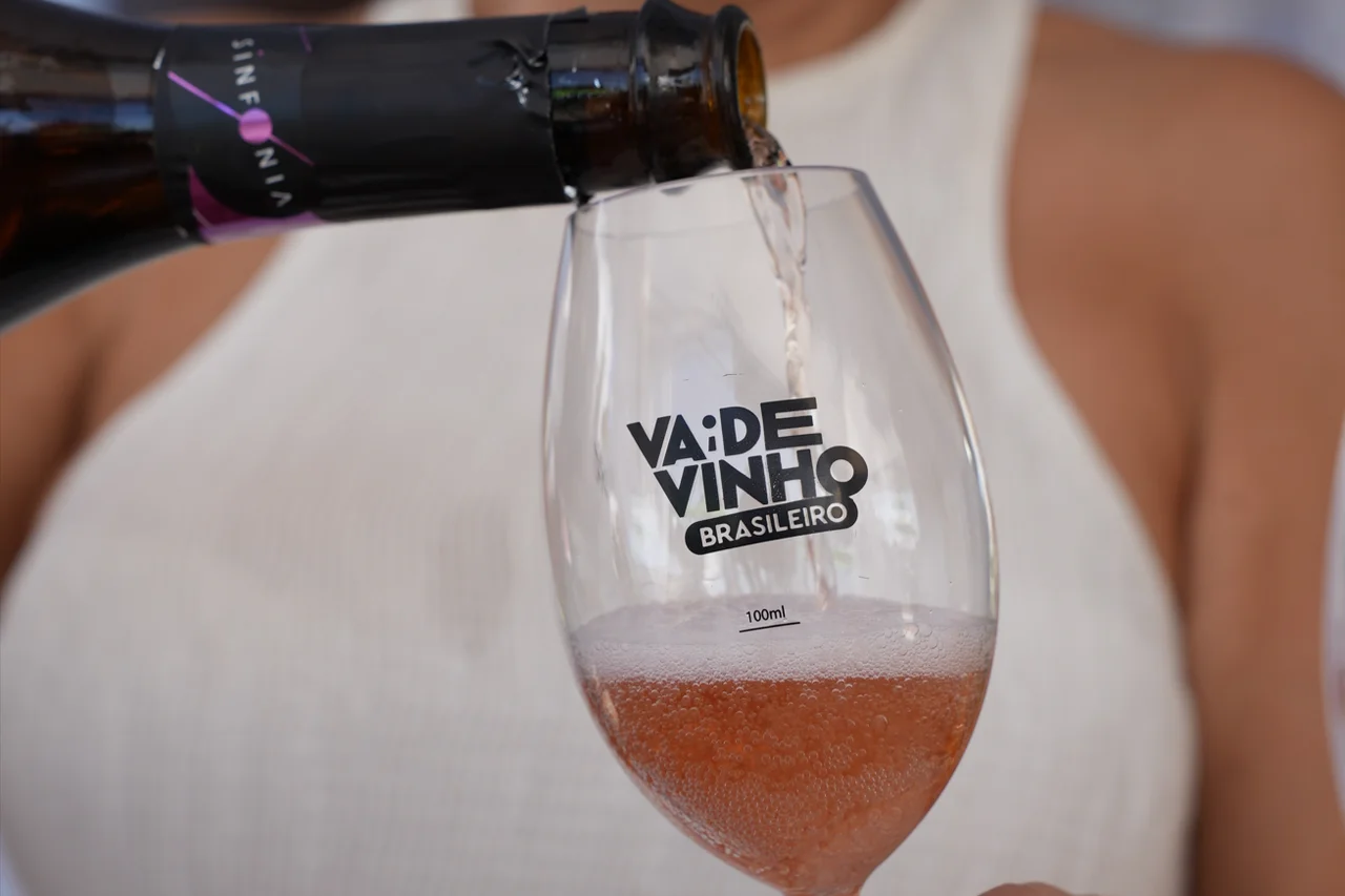 Consevitis-RS/Wendel Graupner/Divulgação