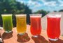 Confira 4 receitas diferentes de sucos detox para incluir na rotina