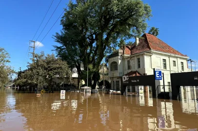 Mutirão para limpeza de negócios no 4º Distrito<!-- NICAID(15769357) -->
