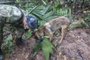 A handout picture released by the Colombian army shows a soldier with a dog checking a pair of scissors found in the forest in a rural area of the municipality of Solano, department of Caqueta, Colombia, on May 17, 2023. More than 100 soldiers with sniffer dogs are following the "trail" of four missing children in the Colombian Amazon after a small plane crash that killed three adults, the military said Wednesday. (Photo by Handout / Colombian army / AFP) / RESTRICTED TO EDITORIAL USE - MANDATORY CREDIT "AFP PHOTO / COLOMBIAN ARMY " - NO MARKETING - NO ADVERTISING CAMPAIGNS - DISTRIBUTED AS A SERVICE TO CLIENTS<!-- NICAID(15431771) -->