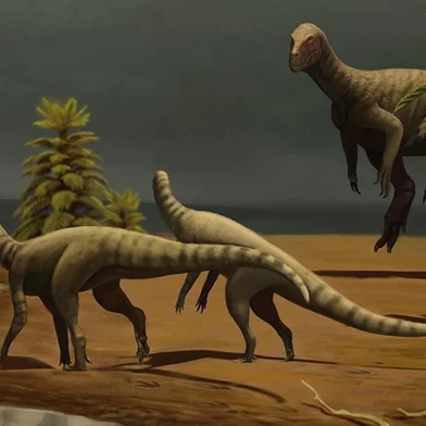 Amanasaurus nesbitti em uma paisagem do Triássico Superior<!-- NICAID(15403782) -->