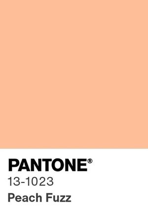 Pantone / Divulgação Pantone / Divulgação