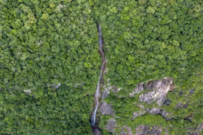 Maquiné, RS, Brasil - 02/01/2025 -  Cascata mais alta do Brasil, com 450 metros de altura, fica no município de Maquiné, RS. Situada no interior da fenda do Cânion do vértice do Vale Pinheiro, pela sua imponência, ela só pode ser vista na sua totalidade através de imagens aéreas. FOTO: JEFFERSON BOTEGA, AGÊNCIA RBS<!-- NICAID(15946246) -->