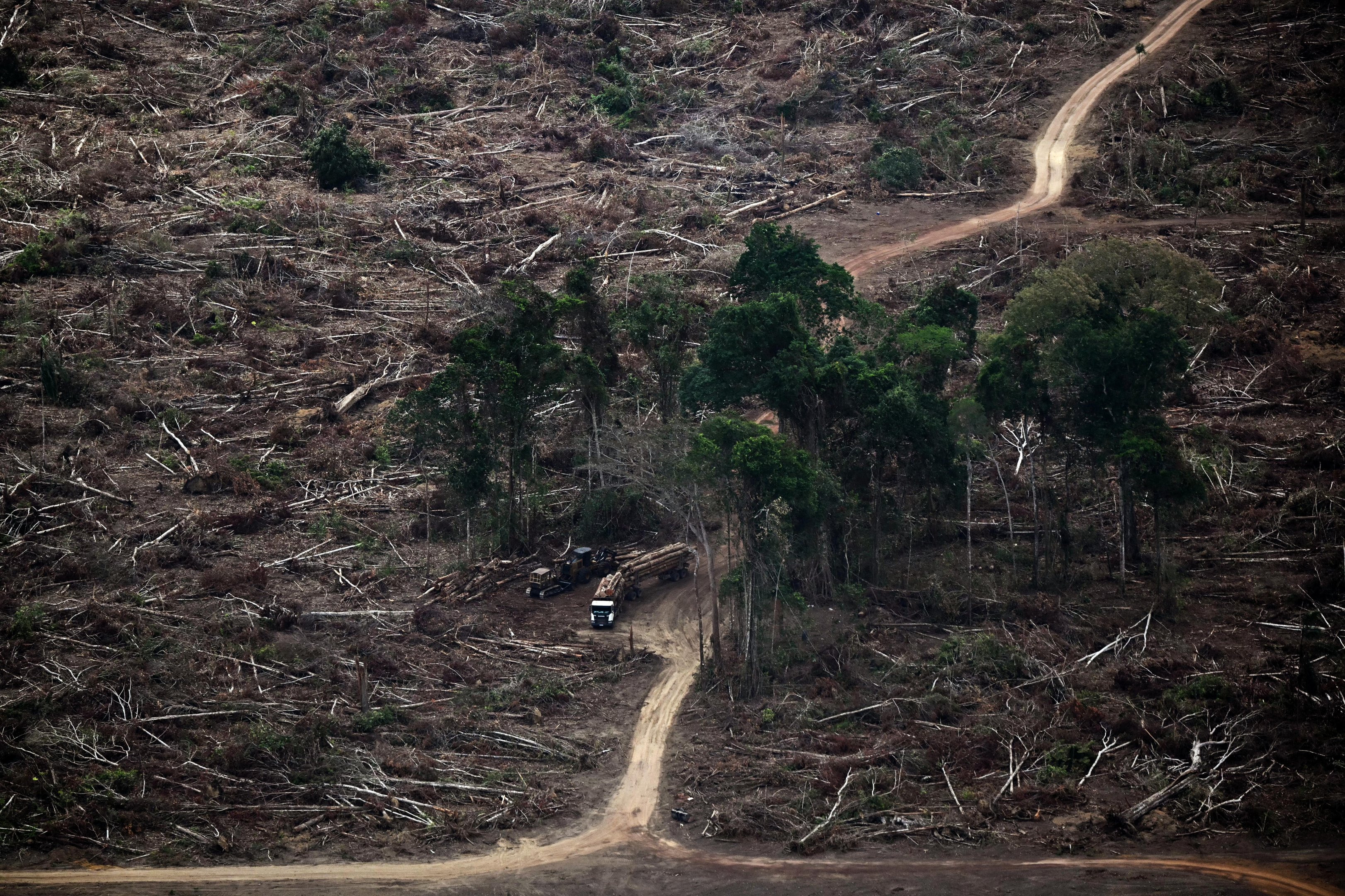 Que venha 2026 com seus desafios e suas recompensas
