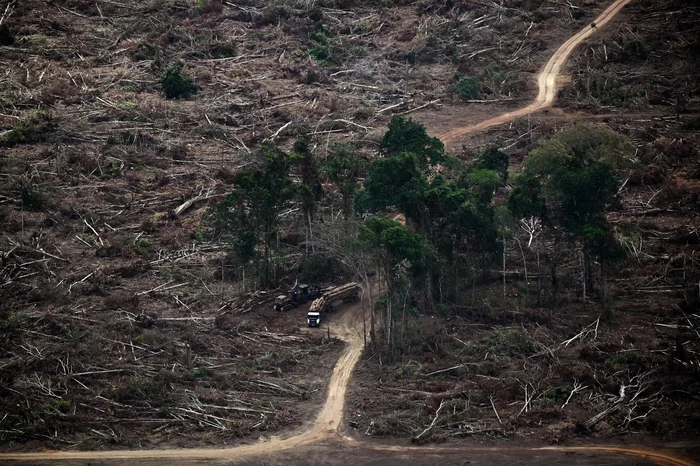 Mauro PIMENTEL / AFP