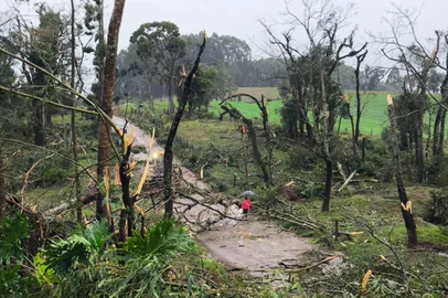 Vendaval atinge 250 residências em Erval Grande e 40 famílias ficam desalojadas<!-- NICAID(16034484) -->