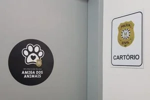 Polícia Civil / Divulgação Polícia Civil / Divulgação