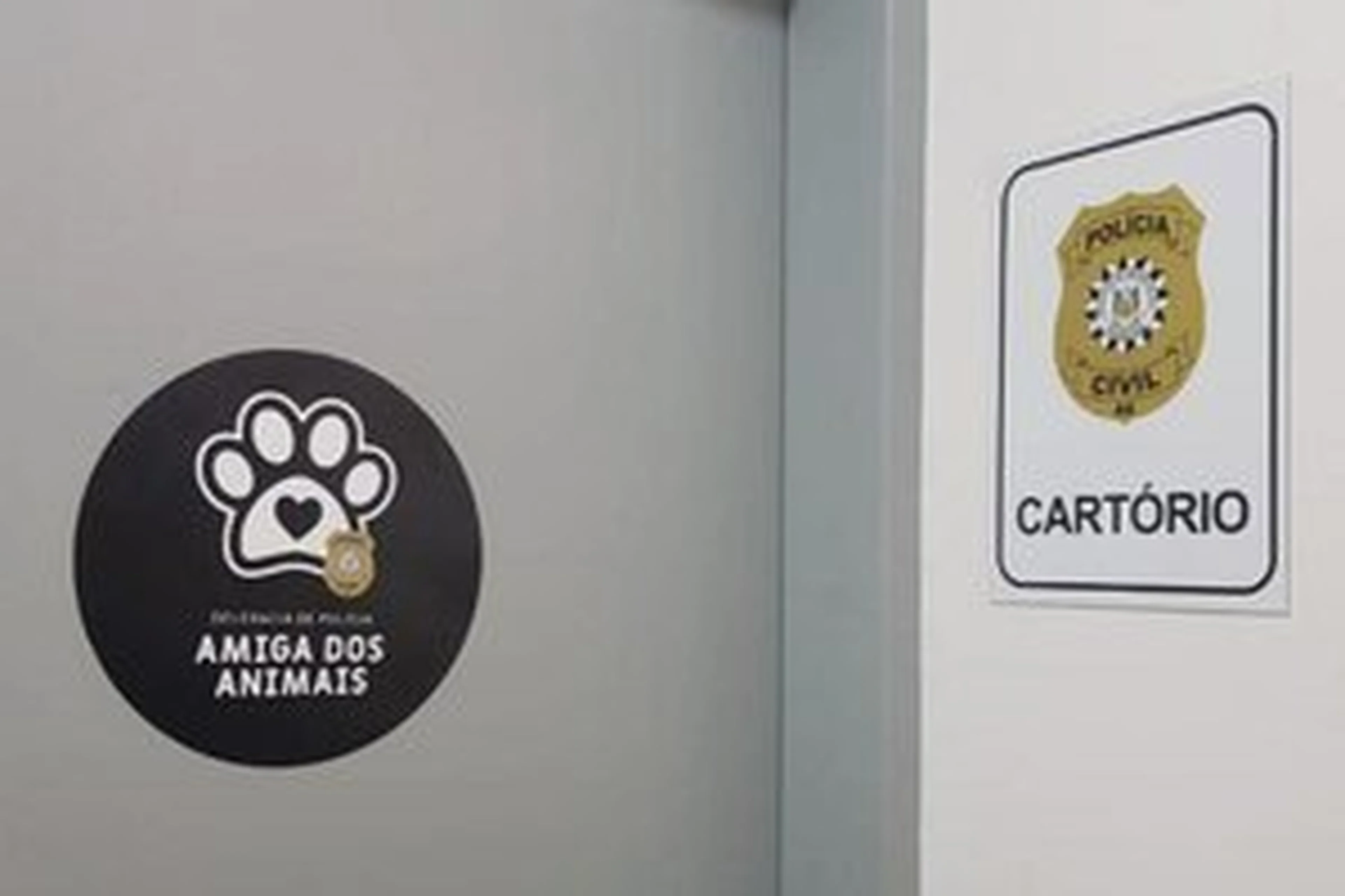 Polícia Civil/Divulgação