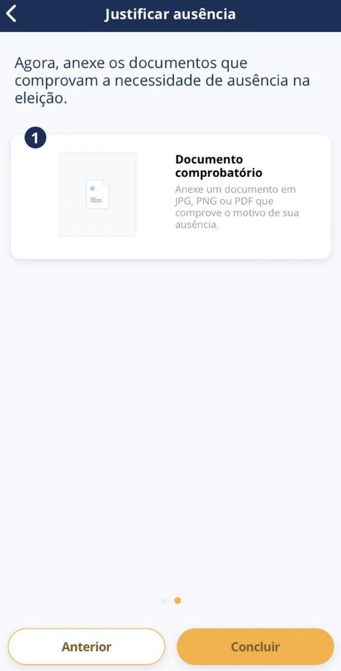 TSE / Reprodução TSE / Reprodução