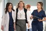 Grey’s Anatomy aposta em novo casal LGBTQIA+ e muda rumos da série para a 23ª temporada