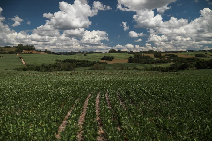 Renan Mattos / Agencia RBS