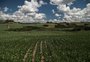 Meteorologia confirma La Niña até verão de 2026; entenda os efeitos para o clima do RS