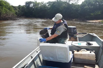 Análise da bacia do Rio Gravataí para uso de agrotóxicos é iniciada pela Fepam<!-- NICAID(15406354) -->