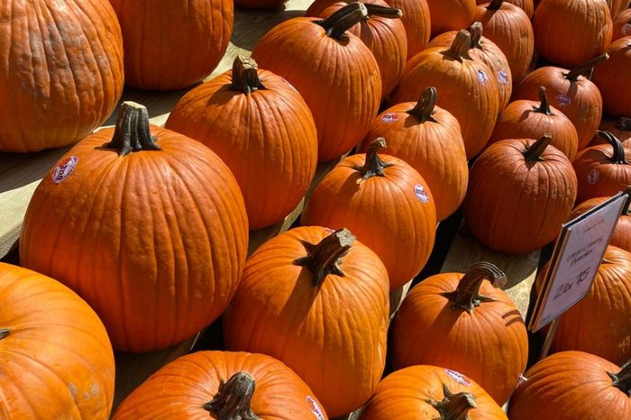 Warley Nascimento / Divulgação