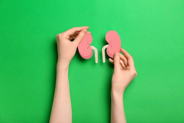 Pixel-Shot / Shutterstock | Portal EdiCase Pixel-Shot / Shutterstock | Portal EdiCase