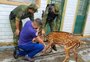 Cervo exótico é resgatado em creche de o Fundo 
