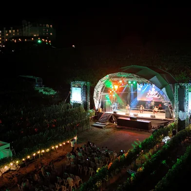 O Natal nos Vinhedos volta a movimentar o Vale dos Vinhedos, em Bento Gonçalves, com entrada gratuita e programação ao ar livre em meio aos parreirais. <!-- NICAID(16180046) -->