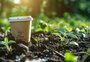 Biodegradáveis só no rótulo? Itens são mais caros, mas não se decompõem na natureza