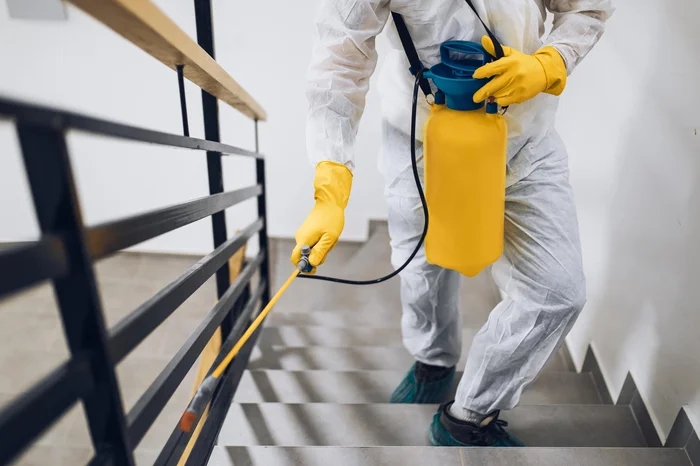 Adobestock / Reprodução