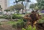 Vento forte provoca estragos na Praça Dante Alighieri, em Caxias do Sul