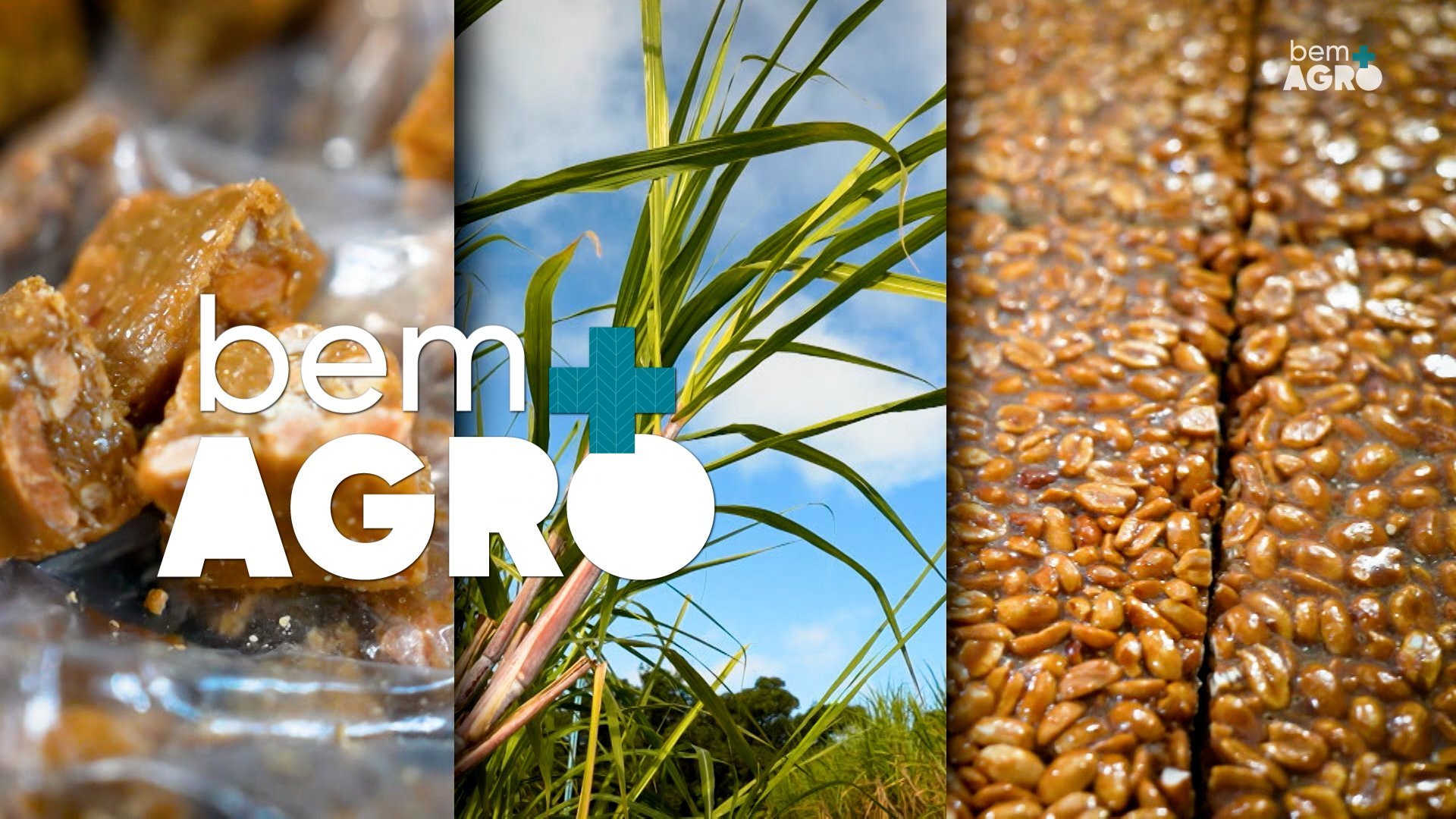 Cana-de-açúcar é Bem+ Agro | GZH
