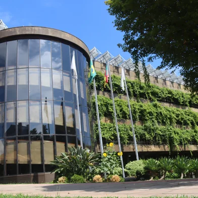 Parreira da Câmara pode se tornar patrimônio imaterial de Caxias do Sul. Proposta da Comissão de Agricultura da Casa recebeu o voto unânime dos vereadores, durante sessão extraordinária desta quinta-feira (12/12)<!-- NICAID(15934857) -->