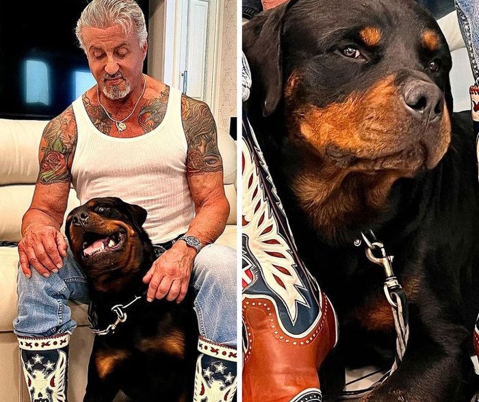 @officialslystallone Instagram / Reprodução