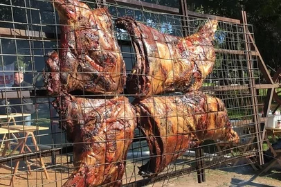 Ascribu / Divulgação A Estação Experimental Agronômica (EEA) da Ufrgs, em Eldorado do Sul (RS), abrirá suas portas para a comunidade no sábado, 15 de agosto, para a segunda edição do Porteiras Abertas. Inspirado no tradicional Portas Abertas da universidade, o evento oferece um dia gratuito de atrações que unem ciência, cultura, gastronomia e contato direto com o campo, incluindo uma novidade: o assado de carcaça inteira de búfalo.<!-- NICAID(16343502) -->