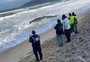 Morre baleia de 11 metros que encalhou no Morro das Pedras, em Florianópolis