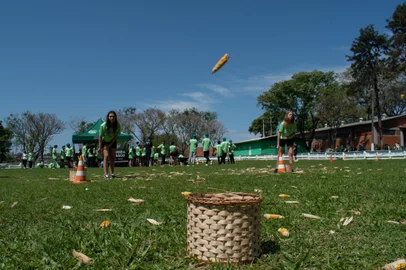 Senar-RS / Divulgação Jogos Rurais organizados pelo Senar-rs<!-- NICAID(15886234) -->