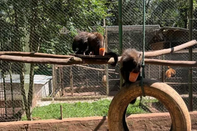 Imagens de um dia com altas temperaturas no Primaves, em Passo Fundo.<!-- NICAID(16212837) -->