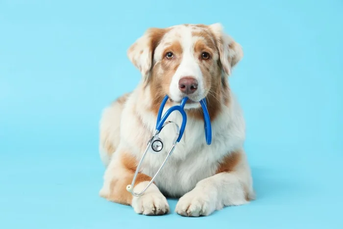 Pixel-Shot / Shutterstock | Portal EdiCase Pixel-Shot / Shutterstock | Portal EdiCase