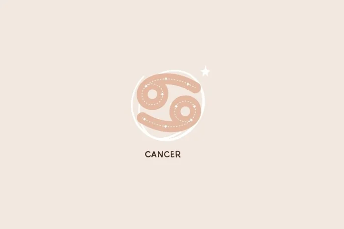 Salomi art / Shutterstock | Portal EdiCase