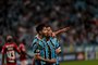 Porto Alegre, RS, Brasil, 25/10/2023 - Grêmio vs Flamengo na Arena - Foto: André Ávila/Agência RBS<!-- NICAID(15579503) -->