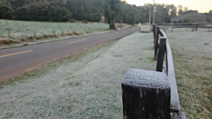 Halder Ramos / Divulgação Halder Ramos / Divulgação