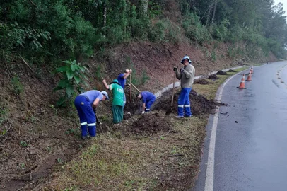 Estrada dos Romeiros, entre Caxias do Sul e Farroupilha, recebe reparos para peregrinação<!-- NICAID(15420142) -->