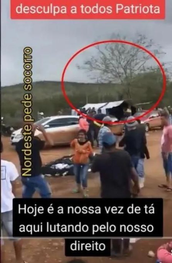 Projeto Comprova / Divulgação