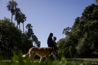 PORTO ALEGRE, RS, BRASIL, 04-01-2026: Domingo de sol no Parque Farroupilha (Redenção), em Porto Alegre. Calor deu uma trégua pela manhã na Capital, com temperatura mais amena. Foto: Mateus Bruxel/Agência RBSIndexador: MATEUS BRUXEL<!-- NICAID(16197436) -->